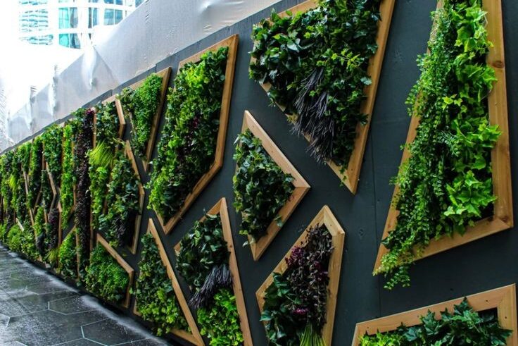 c31c3fa8d7ec8389219a040b757c62c0 (1)