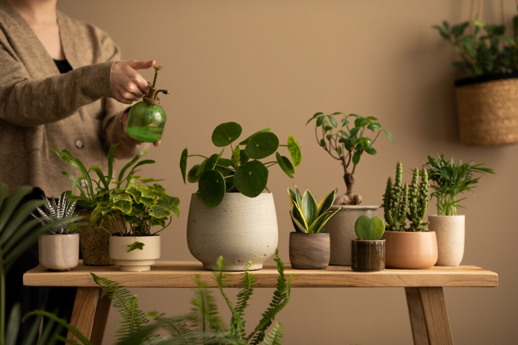 A person watering a variety of indoor plants arranged on a wooden table, showcasing healthy green foliage in stylish pots by Planteriors.