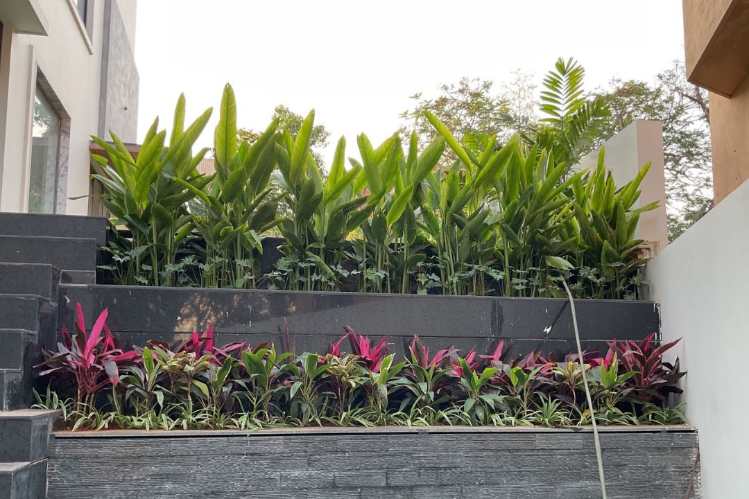 Landscape - Planteriors