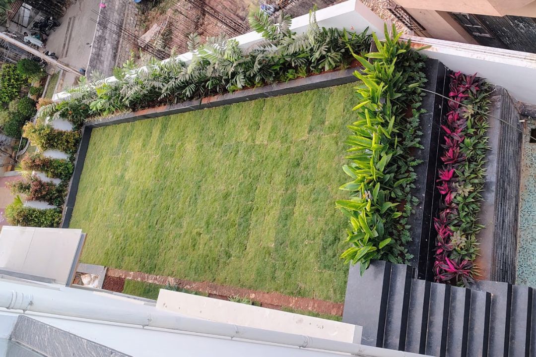 Lawn
